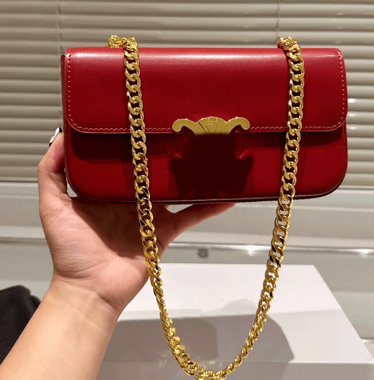 Celine Purse