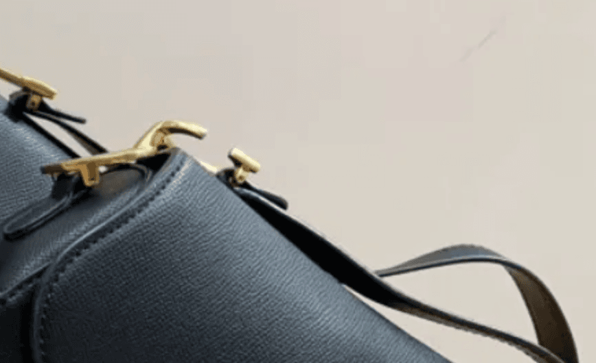 Dior Saddle