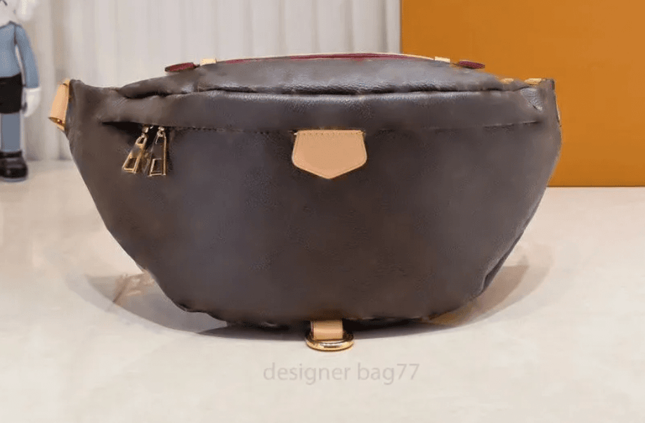 LV Fanny